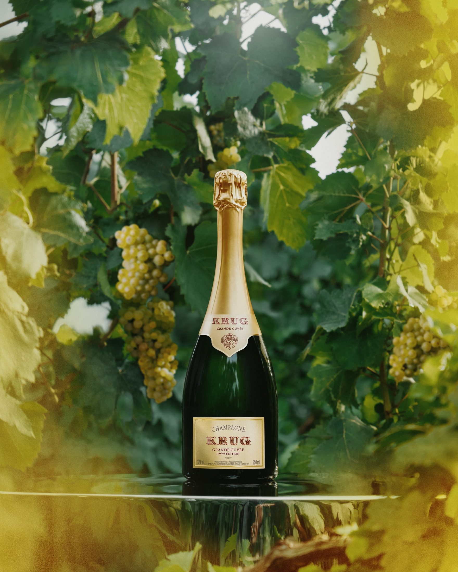 Krug 2