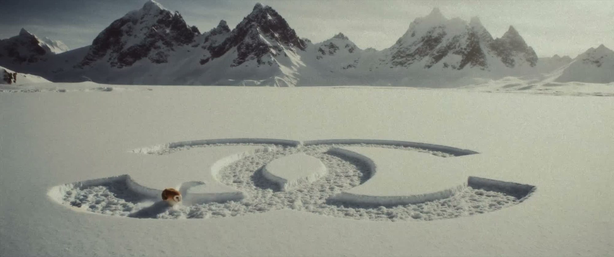 Chanel — The Collectionist